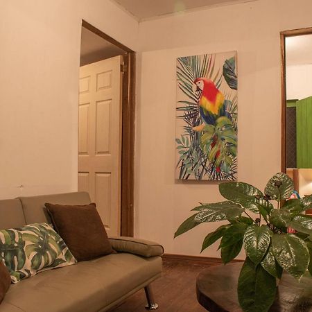 Finca D'Elia Lodge 푸에르토 리몬 외부 사진