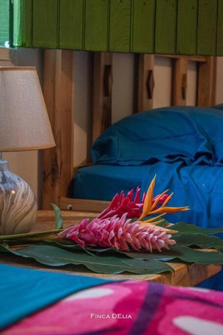 Finca D'Elia Lodge 푸에르토 리몬 외부 사진