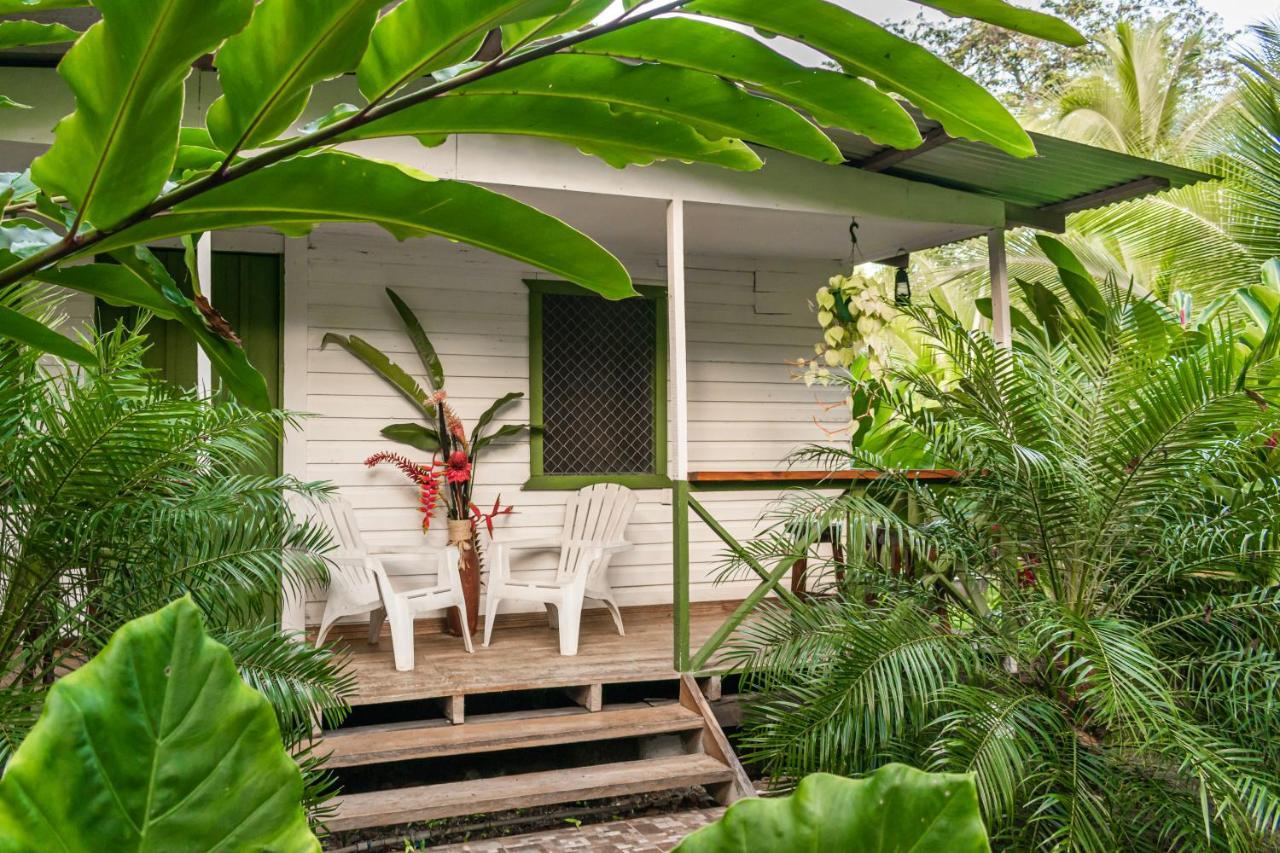 Finca D'Elia Lodge 푸에르토 리몬 외부 사진